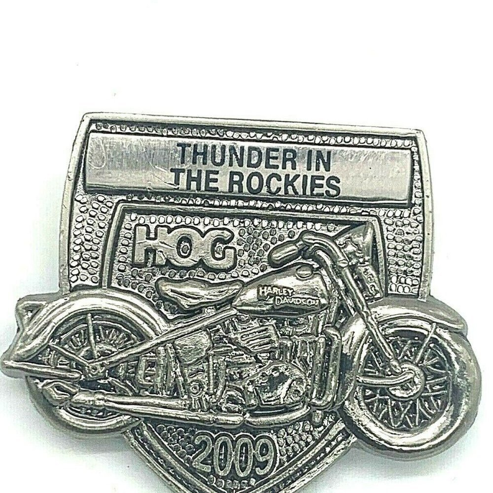 Harley Davidson Owners Group 2009 Thunder Pin